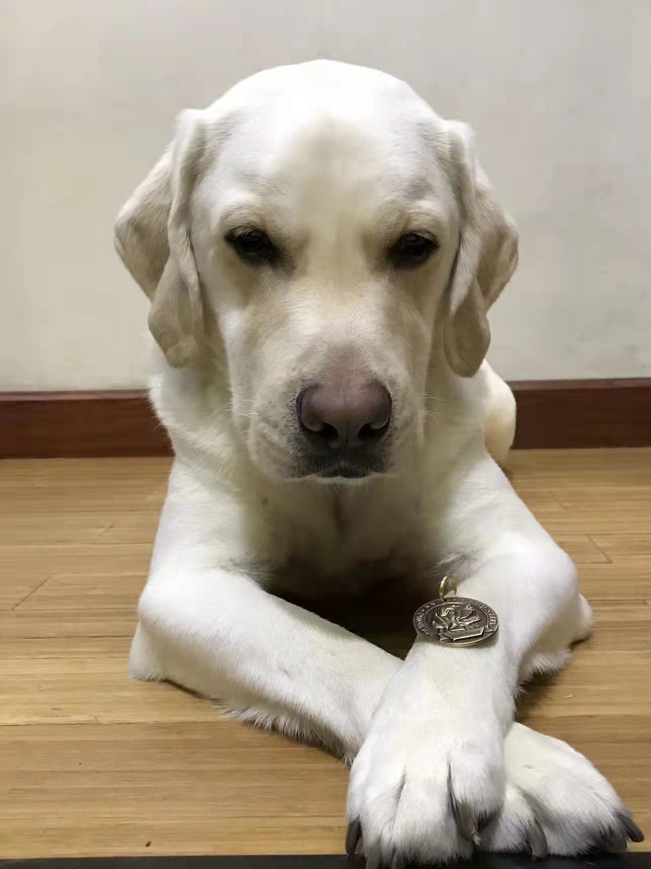 QY千亿球友会